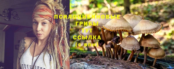 jwh Дмитров