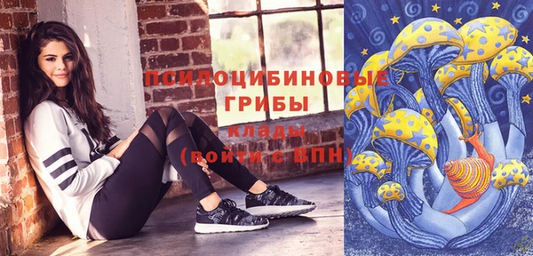 ГАЛЛЮЦИНОГЕННЫЕ ГРИБЫ Дмитровск