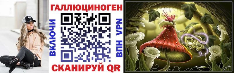 Псилоцибиновые грибы GOLDEN TEACHER  Купить где  Заволжье 